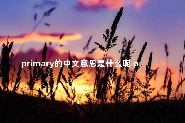 primary的中文意思是什么呢 pupils是什么意思中文